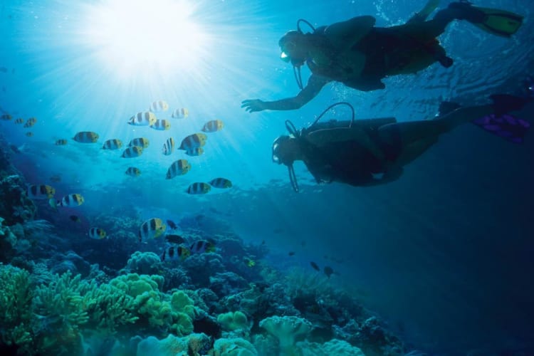 Scuba Diving